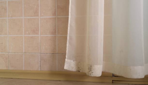 Best Dehumidification Services  in Julesburg, CO