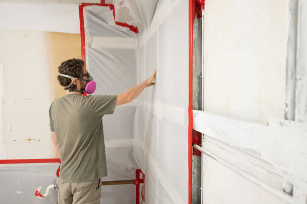 Best Mold Documentation for Insurance Claims  in Julesburg, CO