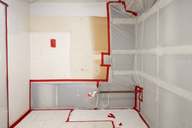 Best HVAC Mold Inspection and Cleaning  in Julesburg, CO