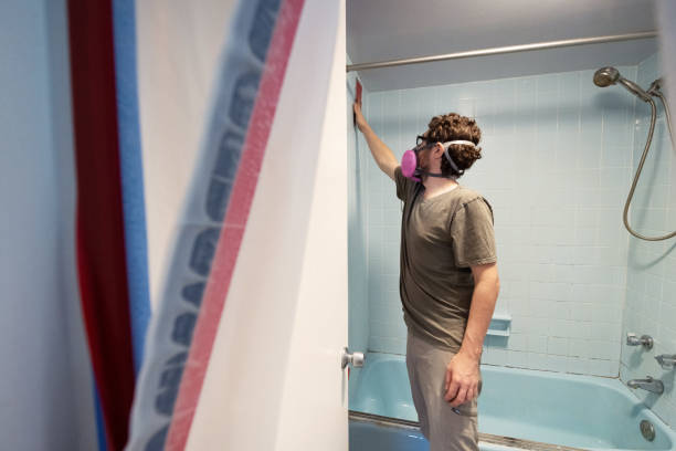 Best Mold Remediation for Healthcare Facilities  in Julesburg, CO