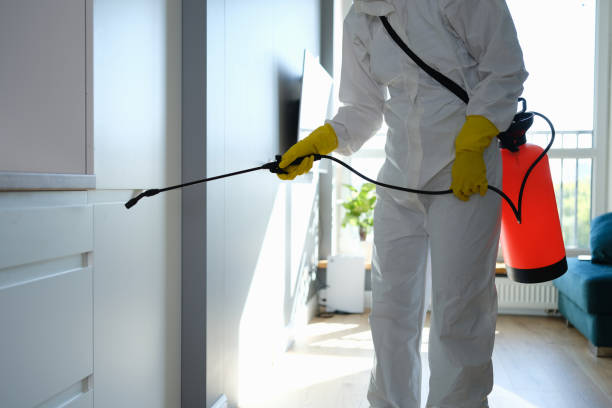 Best Mold Odor Removal Services  in Julesburg, CO