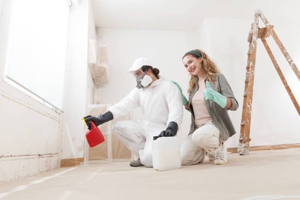 Best Comprehensive Air Testing for Mold Contaminants  in Julesburg, CO