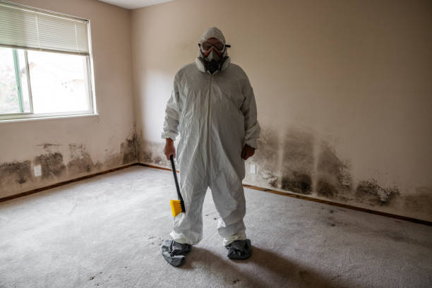 Best Mold Damage Restoration  in Julesburg, CO